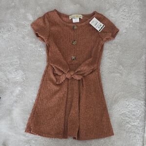 Dreamgirl Rust Knit Short-Sleeve Dress with Front Buttons and Tie